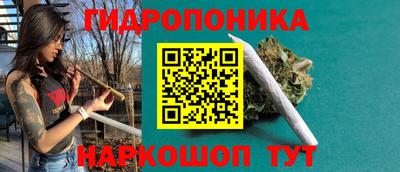 ALPHA PVP Ачхой-Мартан