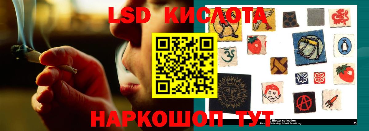 Бердск  Лсд 25 экстази ecstasy  Вход с VPN  LSD-25 экстази  LSD-25 экстази кислота 