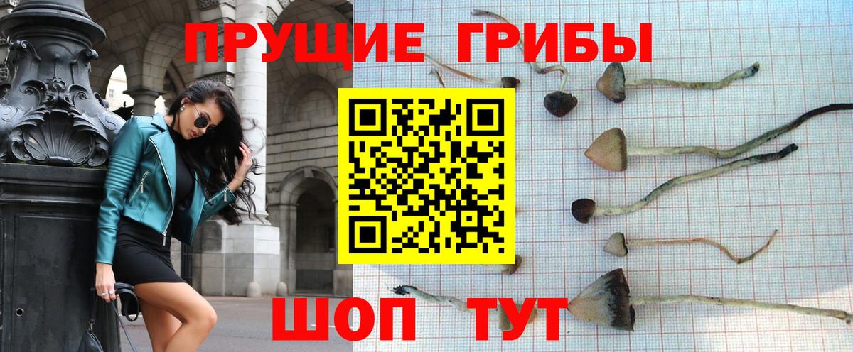 Бердск  Галлюциногенные грибы ЛСД  Галлюциногенные грибы прущие грибы  Вход с VPN 